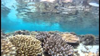 Programa Transformação nº 120 - Ilhas Fiji