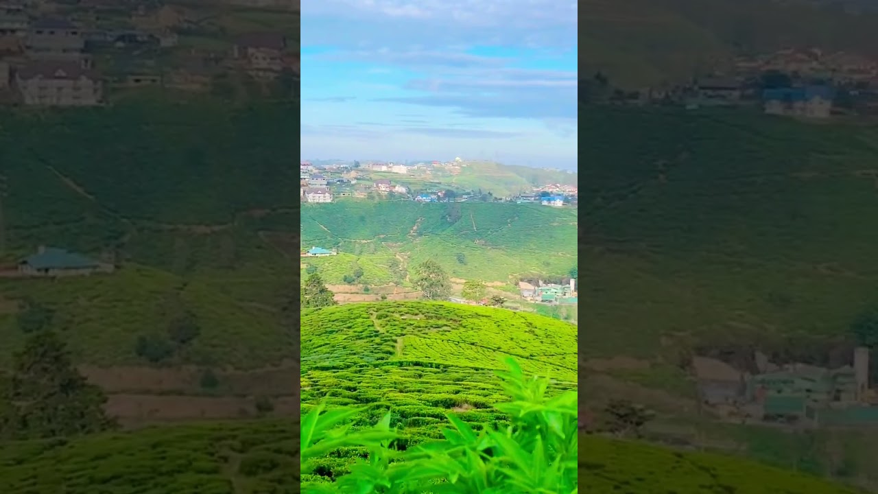 YouTube Short thumbnail