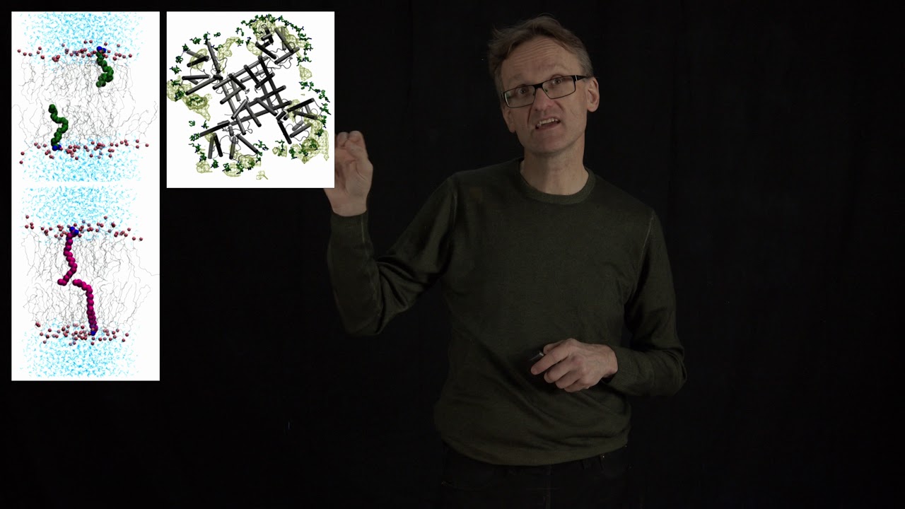 Lecture 13, concept 07: Poly-unsaturated fatty acids (PUFAs) can rescue mutated voltage sensors