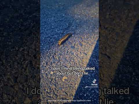 #fyp #gossip #rumors #lies #falsetruth #story #boythatcriedwolf #fiction ￼#gossiping #hearsay