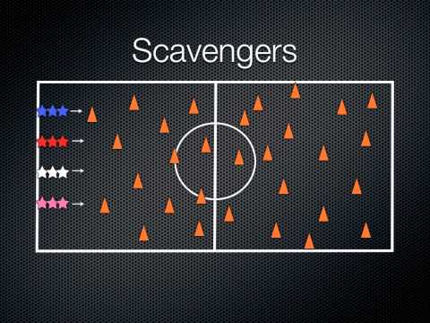 P.E. Games - Scavengers