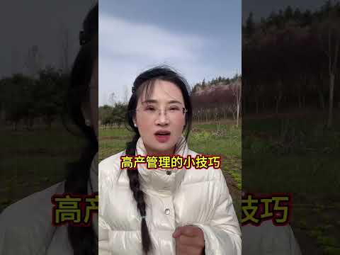 Unlocking the Secret to Perfect Chili Pepper Harvests