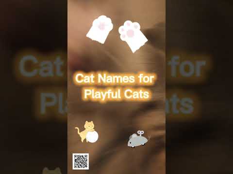 Cat Names for Playful Cats!