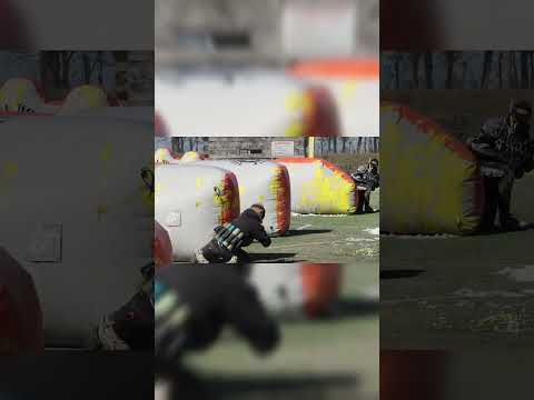Snake Battles! Enjoy Paintball.