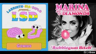 Genius Bitch (Marina and The Diamonds vs. LSD)