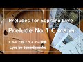 John Billing作曲：Prelude No.1 in C majer/ Preludes for Soprano Lyre (ライアー演奏 )