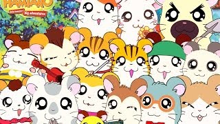 Recensione Sigla - Hamtaro: Piccoli Criceti, Grandi Avventure