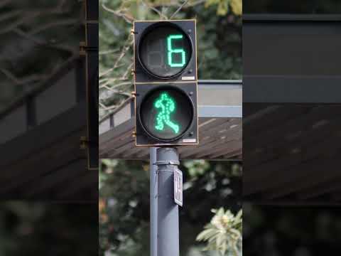 30 Seconds Countdown | Traffic Lights Timer | #shorts #minutes #countdown #timer #silent #shorts