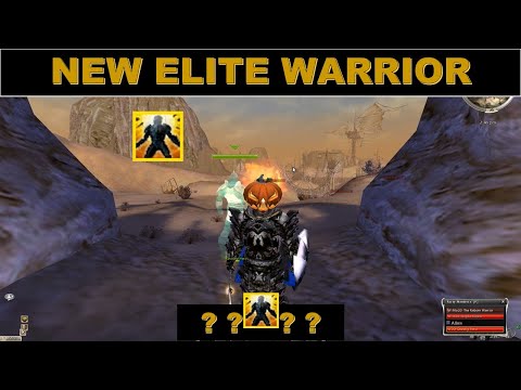 Guild Wars NEW 2020 ELITE Warrior Build