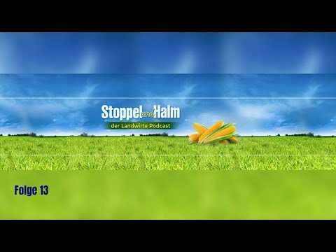 Stoppel und Halm Folge 13: Luzerne & Kleegras – so rechnet sich der Anbau.