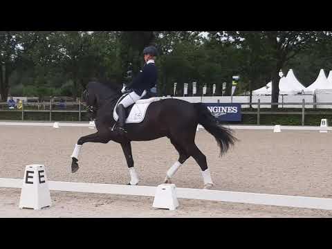 secret lynn thomas 20190803horsemail 183139