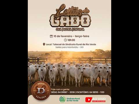 LEILAO DE GADO  10 - 02 - 2026 - Sindicato Rural de Rio Verde - Dêgo Leilões