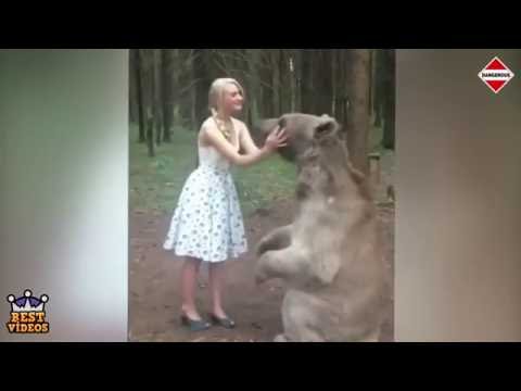 We love Russia Funny videos 2016 Try Not To Laugh