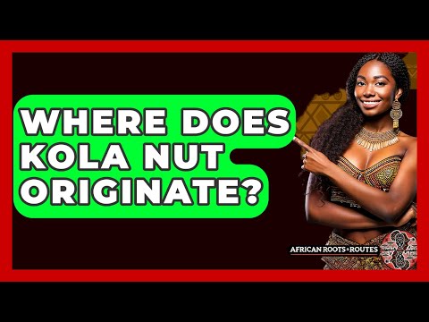 Where Does Kola Nut Originate? - African Roots And Routes