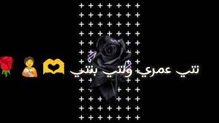 Djalil almani قولي باباك بلي يبغيني شاشة سوداء شاشة سوداء للمونتاج