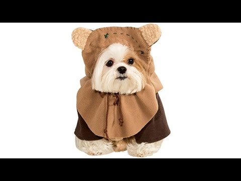 Ewoks are Scary...