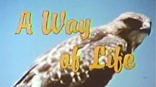 A Way of Life (1957) - MDC Film Archives