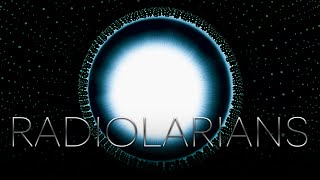 RADIOLARIANS // 4K EXPERIMENTAL MACRO COLORS