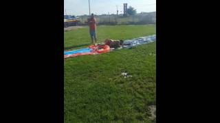Summer time in Odessa tx