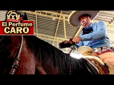 Piales - 2022 THV Millionaire Championship - Piales on the Canvas - September 1