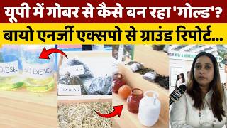 ग्रीन एनर्जी की यूपी में ऐसी मुहिम, गोबर से बनेगा 'गोल्ड', गांव-गांव में खुलेंगे रोजगार के रास्ते