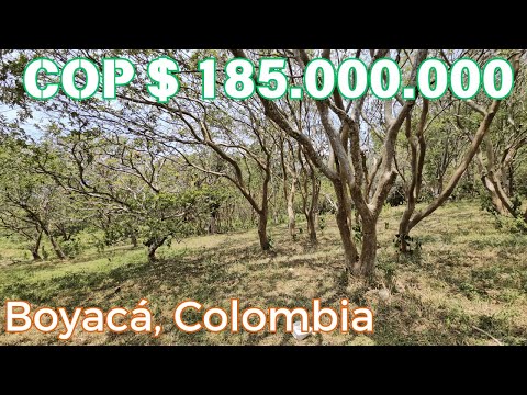 Venta de Finca 2 Hectáreas en Moniquirá- Boyacá