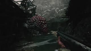 BIOHAZARD8
