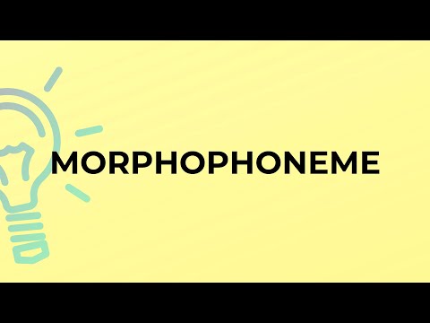 What is the meaning of the word MORPHOPHONEME?