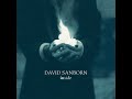 David Sanborn - Lisa - 1999