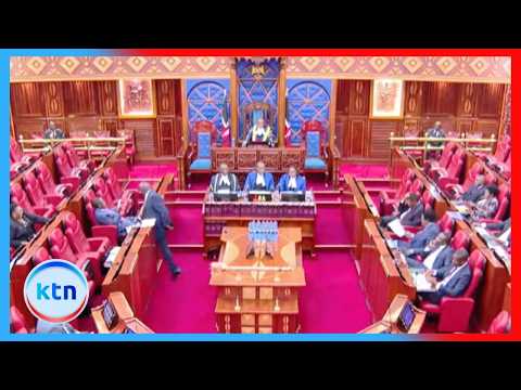 Senators Call for Urgent Review of Nairobi Drainage After Deadly Floods