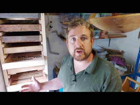 download lagu mp3 mp4 How To Make An Apple Storage Rack, download lagu How To Make An Apple Storage Rack gratis, unduh video klip How To Make An Apple Storage Rack