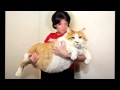 Harry Roy & His Orchestra My Girl s Pussy 
