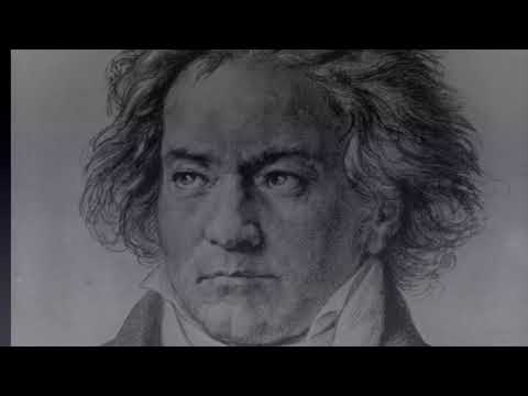 BEETHOVEN FESTIVAL ONLINE Mar 7 Premiere - Brahms, Handel and Beethoven!