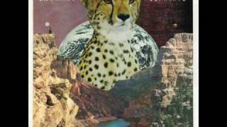 The Thermals - Separate