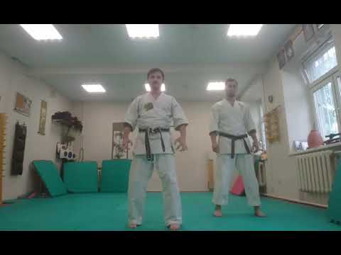 2021 06 05 European  Webinar Goju-Ryu