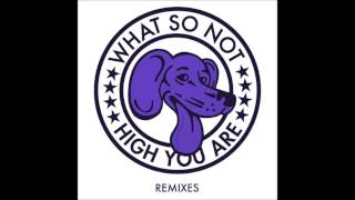 Download lagu What So Not High You Are... mp3