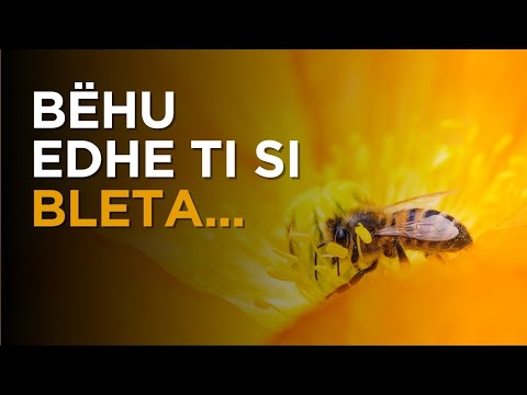 Bëhu edhe ti si bleta