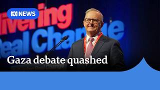 Australian Labor Party avoids Gaza debate as MP's amendment fails to gain floor support