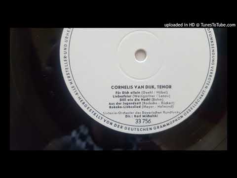 Cornelis Van Dijk - Für Dich allein