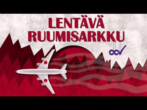 Lentävä ruumisarkku - Japan Airlinesin lento 123