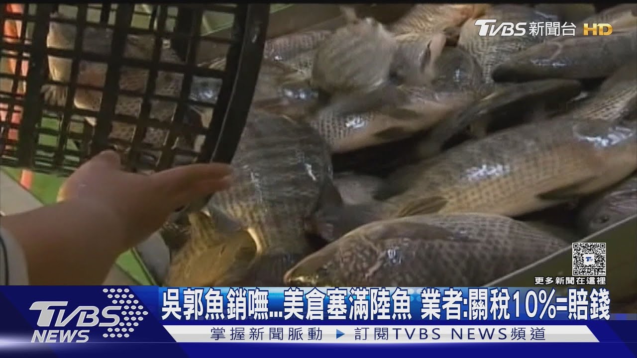 吳郭魚銷嘸 美倉塞滿陸魚 業者:關稅10%=賠錢