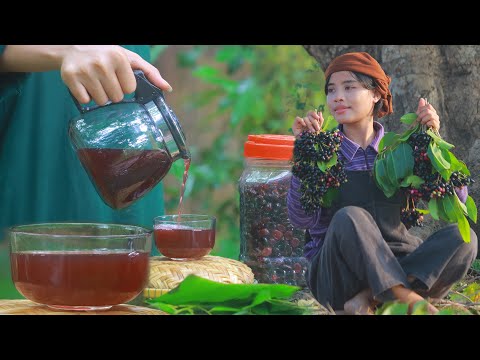 How to Make Delicious Java Plum Wine: A Simple Recipe with Just Sugar and Java Plums! | Mei Sieng
