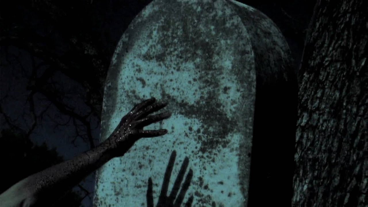 Possum Walk - Teaser