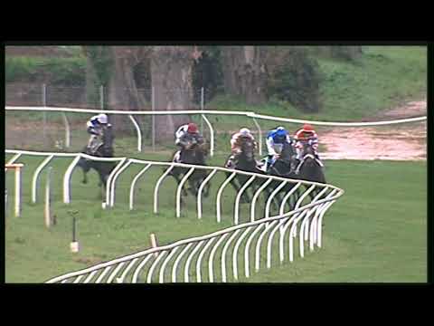 Galoppo 16/11/2020 - 2ª corsa