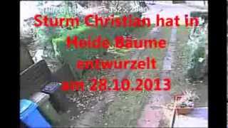preview picture of video 'Sturm Christian hat in Heide Bäume entwurzelt am 28.10.2013'