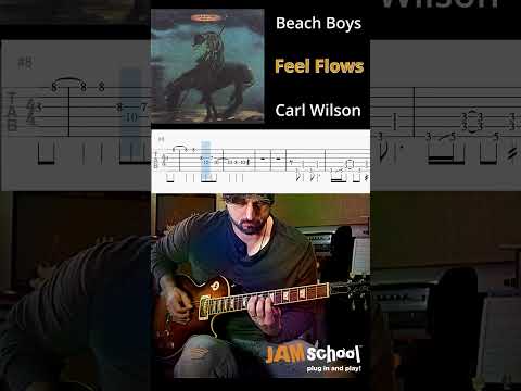 Feel flows - Beach Boys