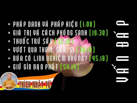 Vấn đáp: Pháp danh và pháp hiệu, giá trị và cách phóng sanh, thuốc trừ sâu, vượt qua tham sân si, bùa có linh nghiệm không, giữ gìn đạo Phật (28/06/2011) Thích Nhật Từ