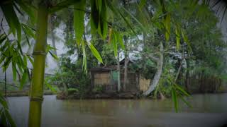 Jungle Rain on Water near Tropical Hut | Soothing Rainfall for Sleeping Problems, Insomnia, Relaxing