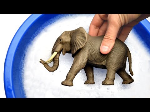 Sea Creatures For Kids - Learn Animals Names and Words in English For Toddlers - Children Toy Videos