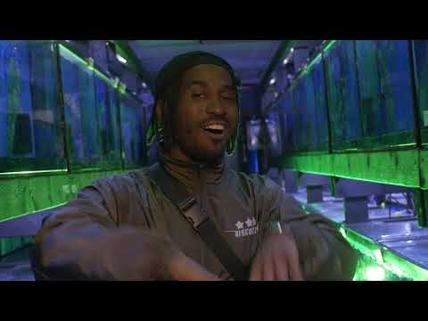 Quake Matthews X Kayo - Ready Or Not